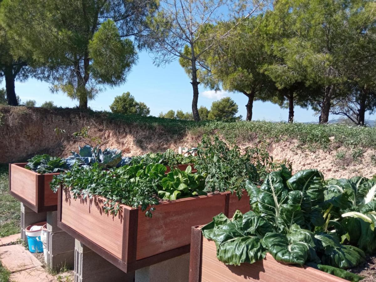 Romegosa Benestar Vila Sant Marcal Exterior foto